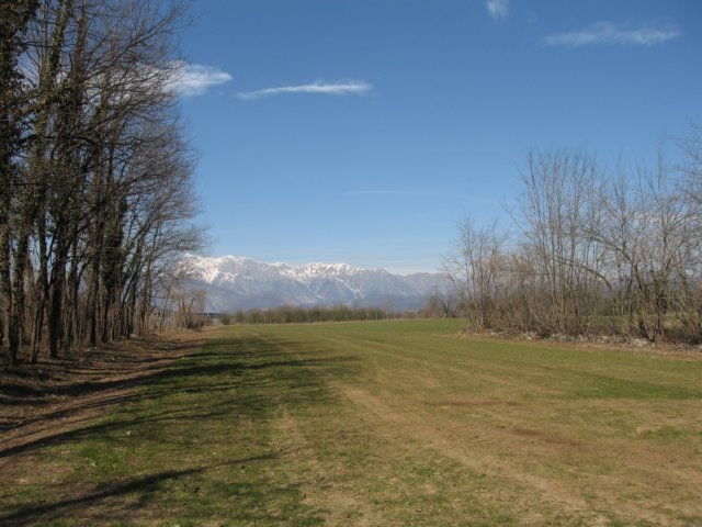 img_4595.jpg