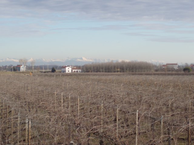 p1110073.jpg