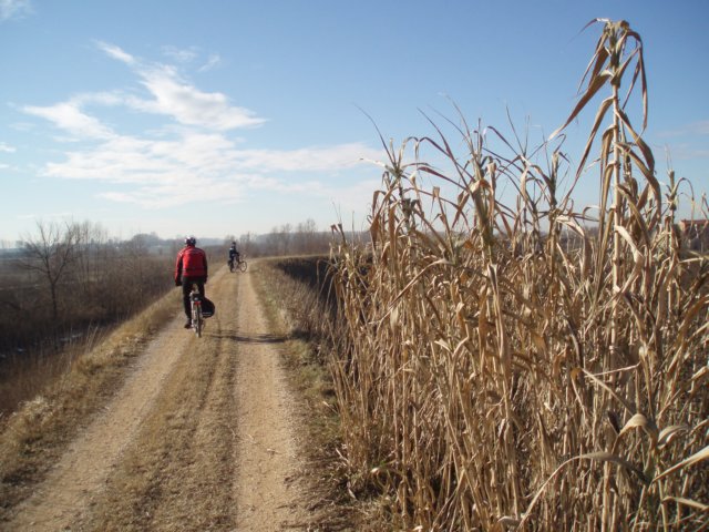 p1110084.jpg