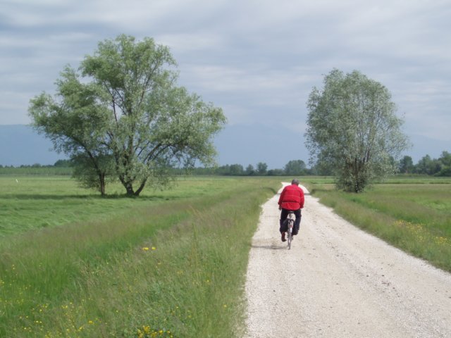 p5110003.jpg