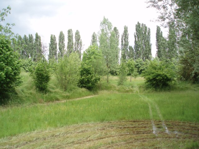 p5110022.jpg