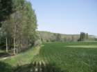 p8140043_small.jpg
