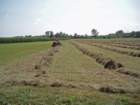 p8140058_small.jpg