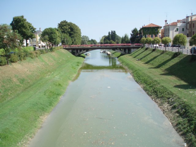 p8140077.jpg