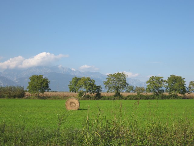 img_2630.jpg