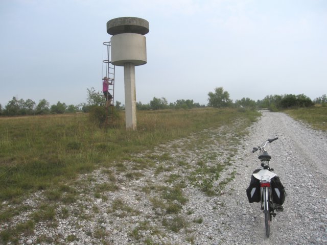 img_2446.jpg