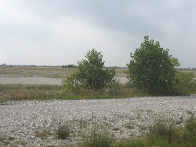 img_2456.jpg