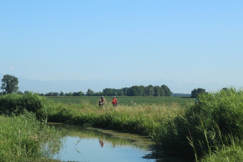 img_2010.jpg