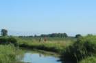 img_2010_small.jpg