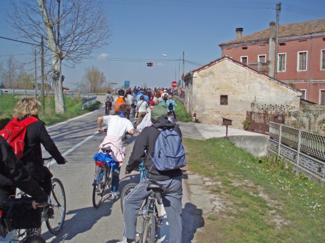 f7.jpg