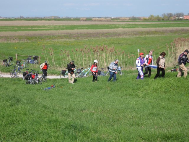 img_3421.jpg