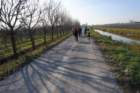 dsc_0486_small.jpg