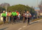 dsc033992_small.jpg