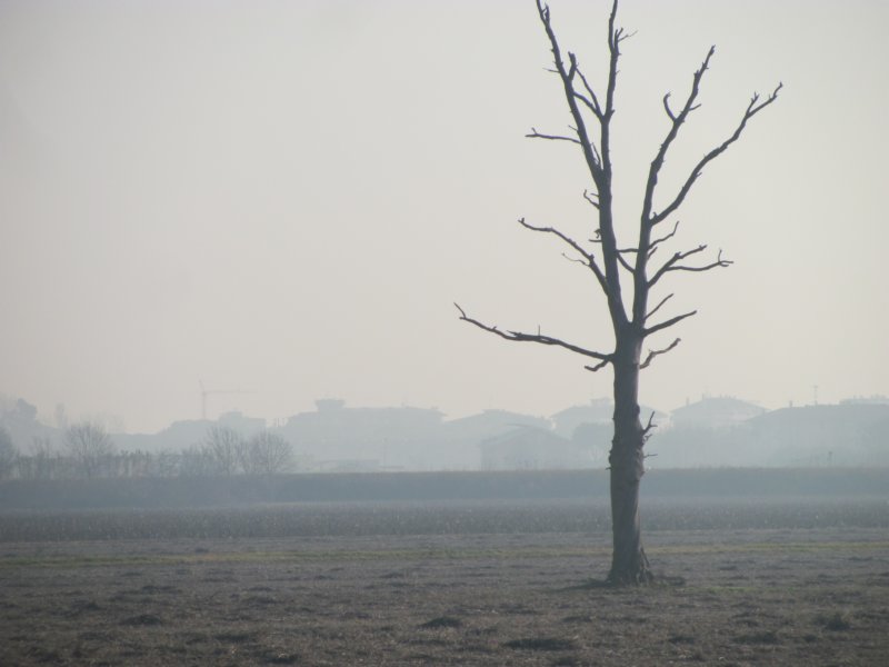 dsc03453.jpg