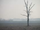 dsc03453_small.jpg