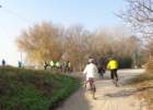 dsc03496_small.jpg