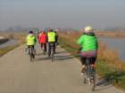 dsc03516_small.jpg
