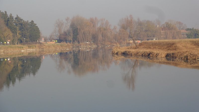 dsc03526.jpg