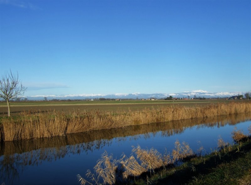 dsc03377c.jpg
