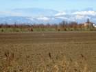 dsc03585_small.jpg
