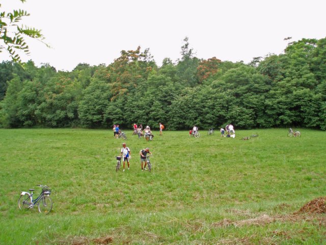 p6280050.jpg
