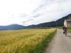 dsc01018_small.jpg