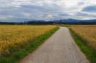 dsc01031a_small.jpg