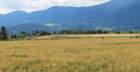 dsc01031b_small.jpg