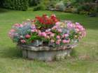 dsc01058_small.jpg