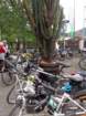 dsc01098_small.jpg