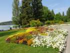 dsc00002_small.jpg