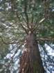 dsc00014_small.jpg