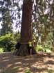 dsc00015_small.jpg
