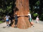 dsc00016ba_small.jpg
