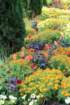 dsc00019f_small.jpg