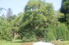 dsc00019g_small.jpg
