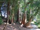 dsc00021_small.jpg