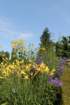 dsc00021b_small.jpg