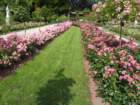 dsc00027a_small.jpg