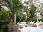 dsc00036_small.jpg