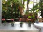 dsc00038_small.jpg