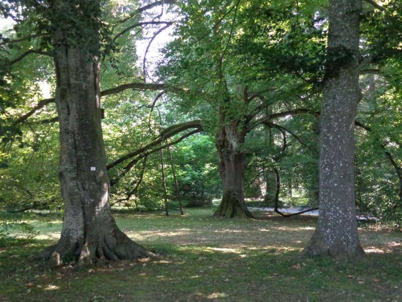 dsc00058.jpg