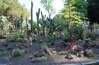 dsc00061a_small.jpg