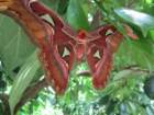dsc00069b_small.jpg