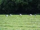 dsc00100_small.jpg