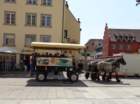 dsc00241_small.jpg