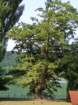 photo14_small.jpg