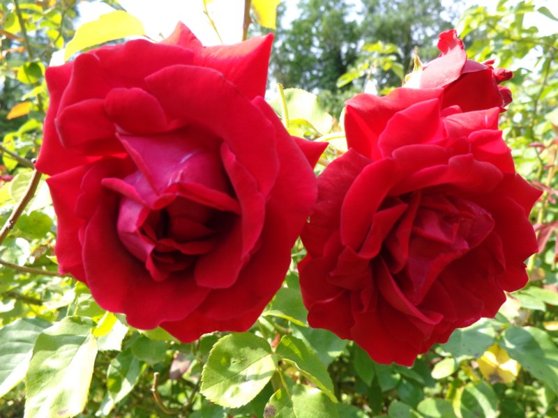 photo15.jpg