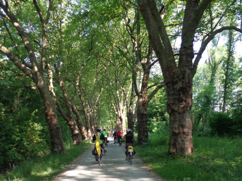 photo6.jpg