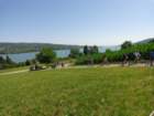 dsc09680_small.jpg